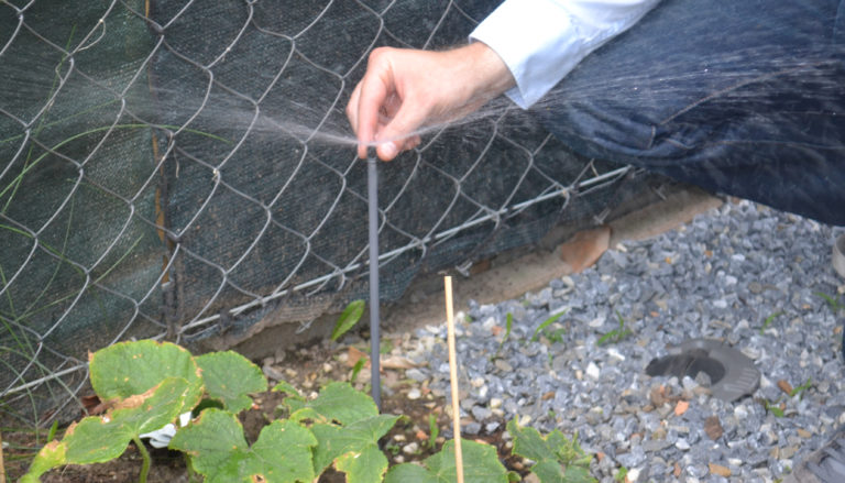 Möglichkeiten zur Baumbewässerung Baumsack, Siebrohr, Gießring und