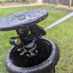 Rain_Bird_Maxi_Paw_im_Test